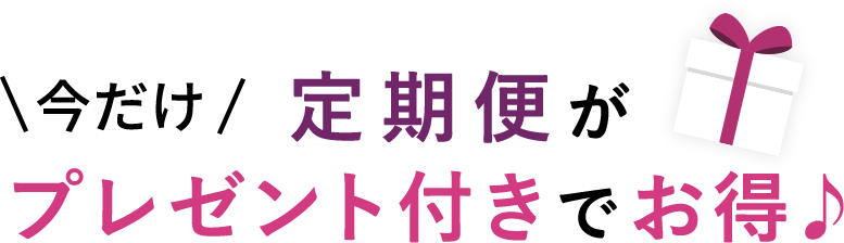 今だけ定期便がプレゼント付きでお得♪