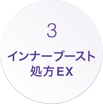 3.インナーブースト処方EX